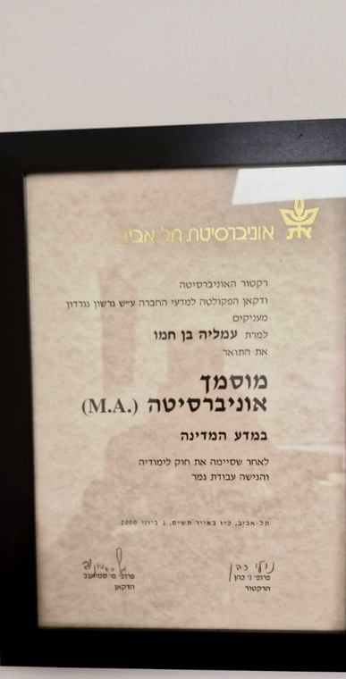 תואר שני M.A. במדע המדינה