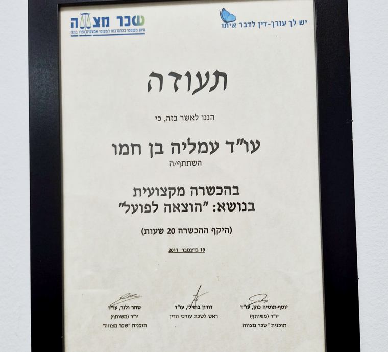 הכשרה מקצועית בהוצאה לפועל