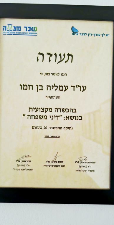 הכשרה מקצועית בדיני משפחה